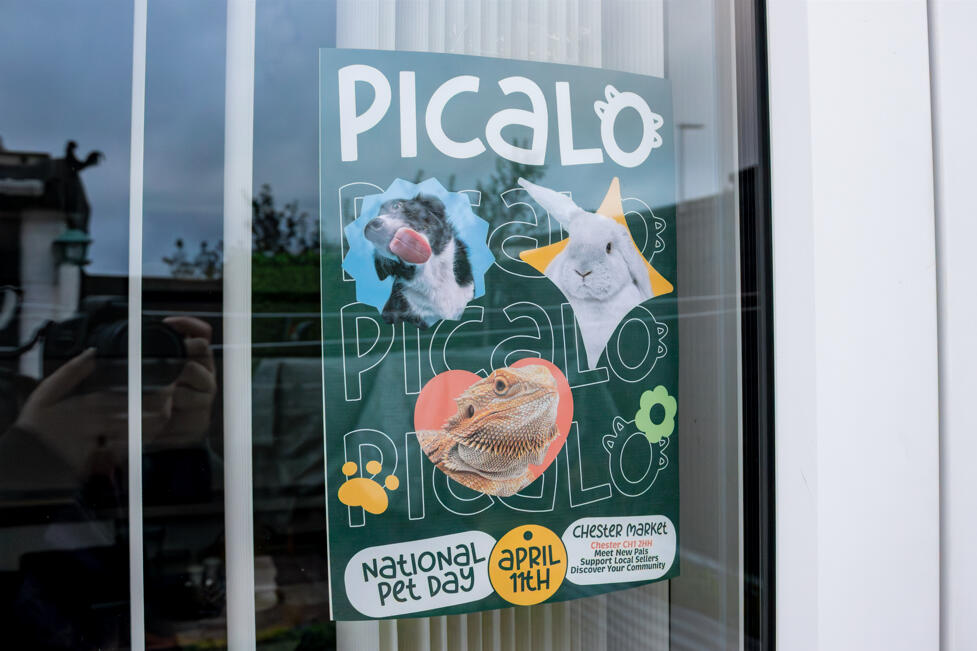 Click to see Picalo